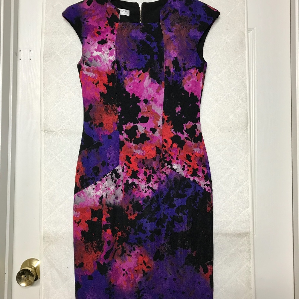 MAGGY LONDON Petite Casual Dress/ Size 2P